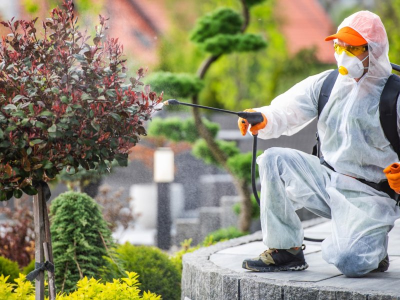 Beyağaç Haşere İlaçlama